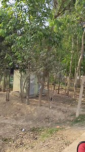 25K views · 314 reactions | Mini Rcf Dj Setup With Only 4 Pis Box | Debashis & Friends | Facebook