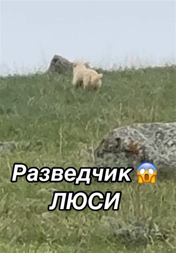 #рек #fyppppppppppppppppppppppp