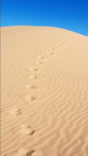 Trekking through the Imperial Sand Dunes 🥵