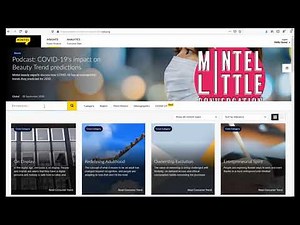Mintel: Access and Overview