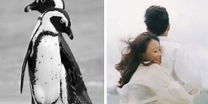 Man pleas for guys to watch the 'pebble' videos women share with them in relationships