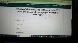 Which of the following is the correct CSS syntax to make all pa... | Filo