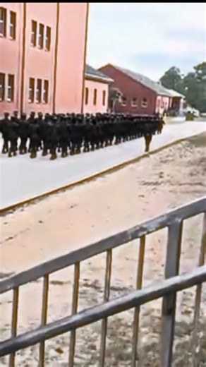 Female Marine Recruits doing drill at Parris Island South Carolina. Some motivated hardchargers. Rah #vetradiosyndicate #parrisisland #mcrdparrisisland #marines #Females #recruits #army #bootcamp #semperfi #M16 #drillinstructor #femalemarine #drillandceremony #marching | Vet Radio Syndicate