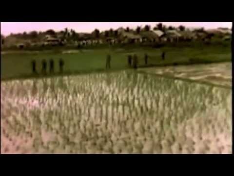 Vietnam (The 173rd Airborne Brigade) US Army Paratroopers