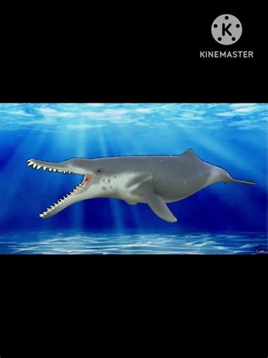 Prehistóric Ankylorhiza