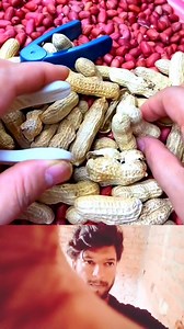 Peanut shelling process | Mouse trap 2022