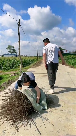 Today was truly indescribable🤣🤣🤣#comedycouple #comedyvideo #mrpippibear #pippibear #comedia #cutebaby #humancubsconfusedbehavioraward #healingsmile #socute #streettestpassersbyreaction #creativestyling