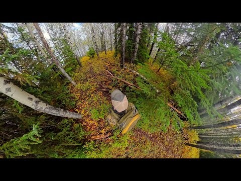 I'm Going To Share With You What I Saw Behind Me 3 Evenings Ago