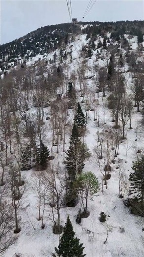 青森 八甲田山 ロープウェイ