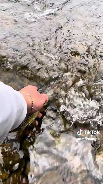 Trout Fishing Adventures in a Scenic Mountain Lake