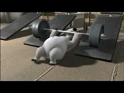 Bernard The Polar Bear : Gym