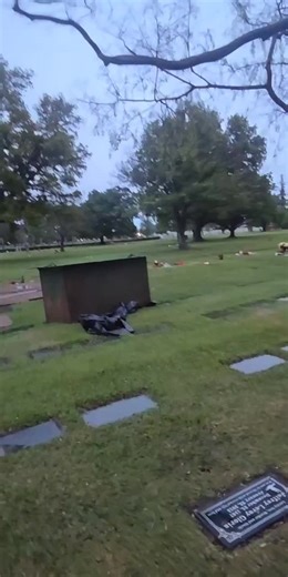 Live Highlights: Unusual Morning Session