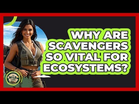 Why Are Scavengers So Vital For Ecosystems? - The Wild Life Explorer
