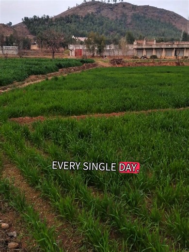 the greatest prank phone call ever 🤣😂📱#radioprankcall #funnyclips #callprank📞 #funnyprankcall #usa🇺🇸