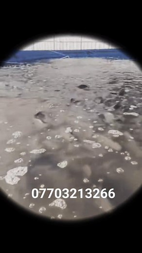 5K views · 58 reactions | At first, no one asks how things are going....