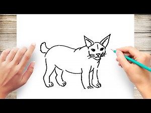 Learn How to Draw Wild Animal Step by Step