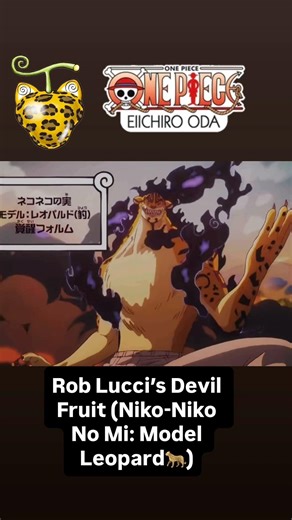Rob Lucci’s Devil Fruit Is Built for PURE VIOLENCE🐆👊🏻 #onepiece #devilfruit