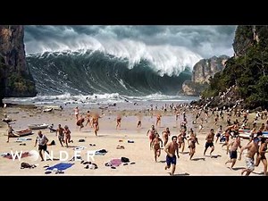 Minute by Minute: The Devastating 2004 Boxing Day Mega-Tsunami