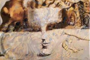 31K views · 664 reactions | 500 years of female portraits in Western...