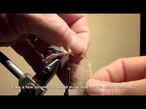 Tying the Wunder Bug