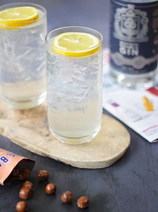 Gin Fizz Cocktail Recipe
