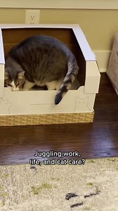 17K views · 105 reactions | Tired of dealing with messy, smelly...