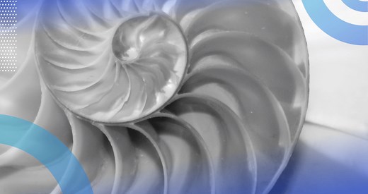 What Is the Fibonacci Sequence? (Definition, Formula) | Built In