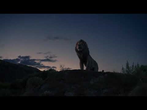 El Rey León (2019) | Simba Regresa