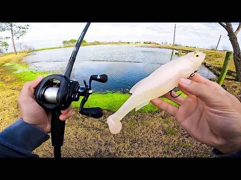 Fishing BIG Swimbaits for GIANT Bass (BIGGIN CAUGHT)