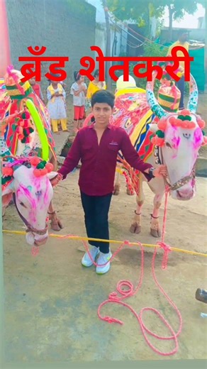 नाद शेतकरी. ब्रँड शेतकरी 🙏💯💯