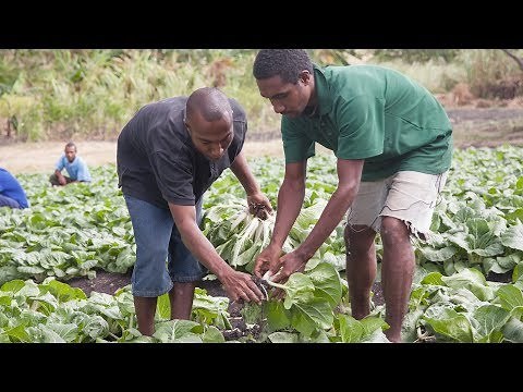 Why Australian Aid Is So Important