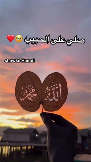 special of the day ...😭🫂💖 #viralreels #youtubeshorts #islamicreels #foryou #1millionviews