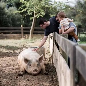 Less screen time, more play time. Find family adventure with a weekend in Staunton, VA. Virginia is for Lovers | Visit Staunton, Virginia