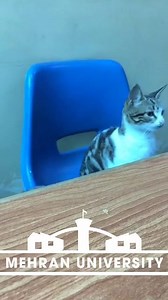 On a lighter note, when roll number is called for attendance! 😀 Happy Holidays 🤩🥳 | Mehran University of Engineering and Technology