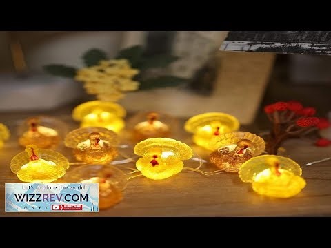 Decorative Fairy Mini Turkey String Lights Autumn Garland Cute Novelty Fall Lights