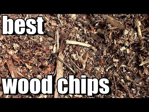 Best Wood Chip Mulch for Your Vegetable Garden