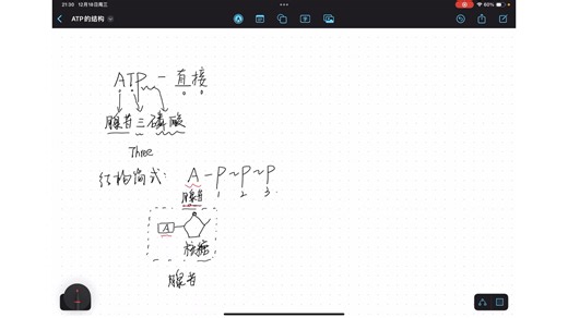 十分钟搞定ATP的结构