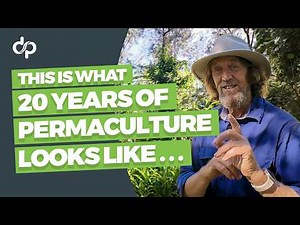 This Is What 20 Years of Permaculture Looks Like
