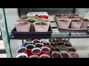 A mini greenhouse that works!