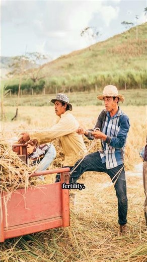 Climate-smart crop production techniques