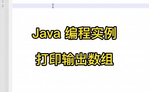 Java编程实例-打印输出数组