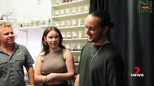 A Hornsby teenager who survived being bitten by a funnel web spider has thanked the keepers who helped save his life. 19-year-old Ollie Kay was attacked in his sleep and had to be given 2 vials of antivenom from the Australian Reptile Park. Venom from a male funnel web can kill an adult in under 90 minutes. Thankfully, Ollie's family rushed him to hospital within 15 minutes. 7NEWS at 6pm. More local news: 7news.com.au/news/sydney #FunnelWeb #7NEWS | 7NEWS Sydney