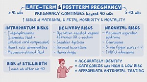 Video: Late-term and postterm pregnancy: Clinical sciences - Video Explanation! | Osmosis | Osmosis