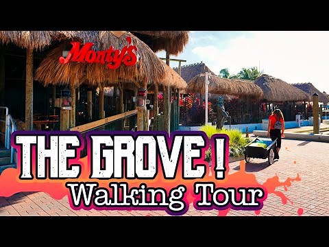 Miami's forgotten Jewel ! Coconut Grove Walking Tour (February 2021)