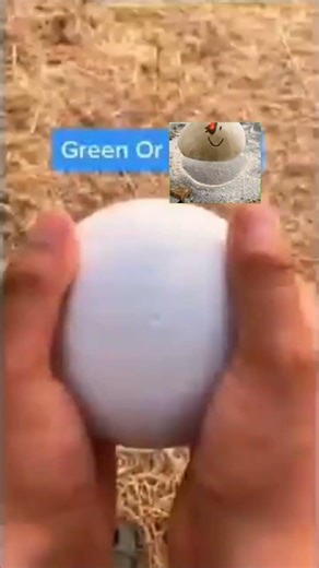 Masa de👀 #roblox #humor #forsaken