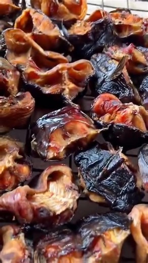 1.8K views | La Pisciculture ( Élevage des poissons), c'est aussi l'étape de la transformation ! Ainsi la Pisciculture demande un niveau de maîtrise sur toutes les étapes de l'activité. Posez nous vos questions ici en commentaires, que voulez vous savoir sur l'élevage de poissons ? #motivation #formation Ministère de l'Agriculture et des Ressources animales et halieutiques et halieutiques @super fans | Ferme Onesime | Facebook