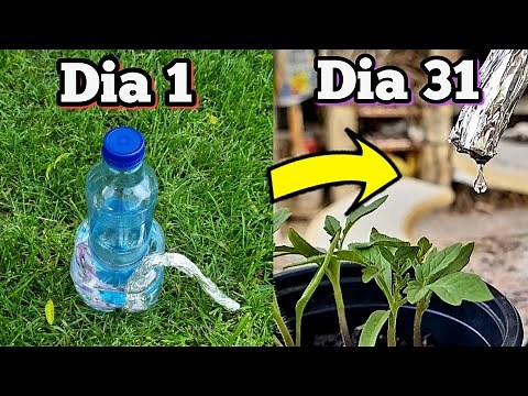 OLVIDA REGAR TUS PLANTAS + DE 1 MES! Sistema de Riego por GOTEO casero regulable, Ideal vacaciones