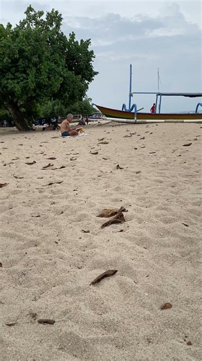 Mr Bean Holiday in Bali