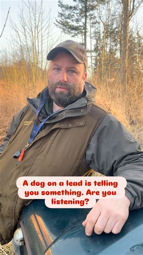 Dogs are on leads for a reason - training, recovery, confidence building. Respect the lead, respect the dog. | Lammermuir Gundogs