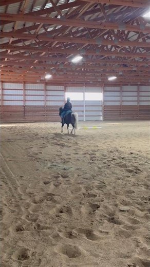 My first time cantering on cactus! Go check out there training barn my epiphany stables ￼#horse
